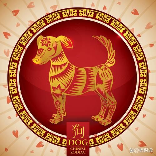 生肖狗最忌哪个属相的人（生肖狗最克哪个属相？）