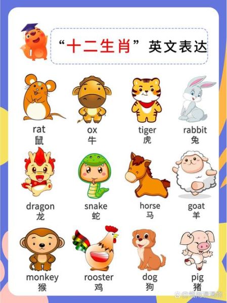生肖属相英语作业（生肖属相英语作业怎么写）