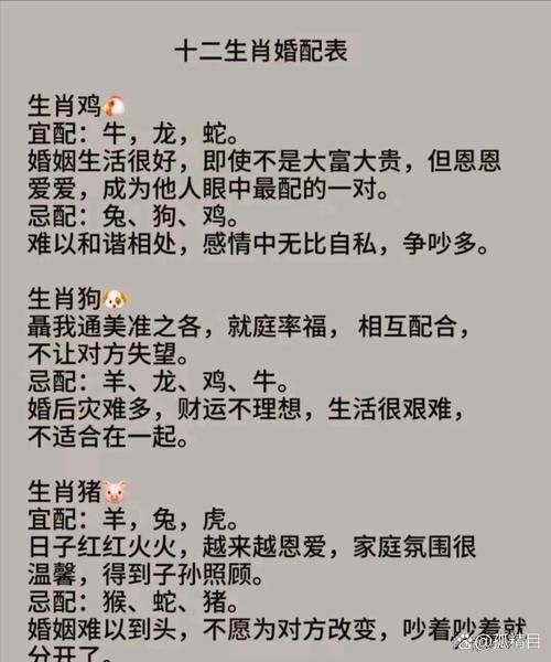 什么生肖属相不能关联（哪些属相不能一起做伴郎伴娘）