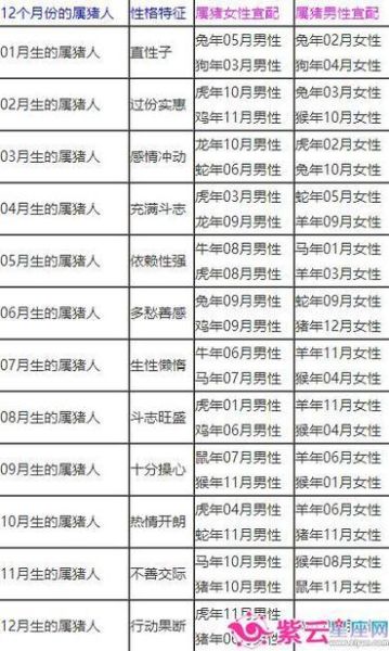生肖猪最佳属相婚配（属猪男和什么属相婚配最好？）