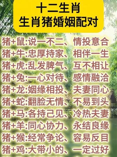 生肖猪最佳属相婚配（属猪男和什么属相婚配最好？）