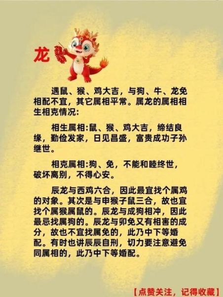 生肖龙女最配什么属相