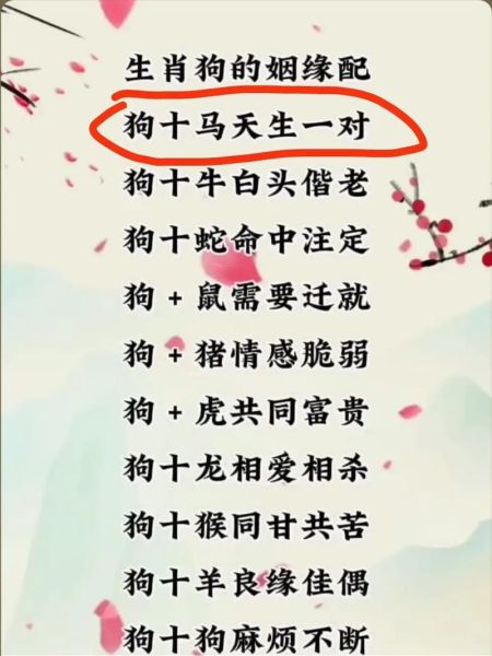 生肖狗适宜的属相（生肖狗跟谁最合？速看最搭属相）