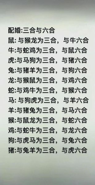 属相虎和生肖马（属虎和马合不合：三合配对最佳贵人）
