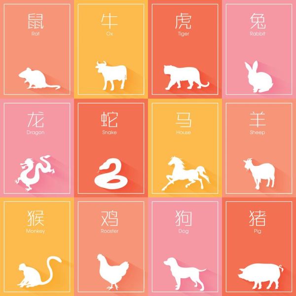生肖之王是什么属相（生肖之王是什么属相？）