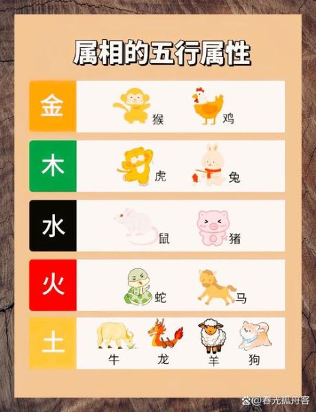 木生肖属相（木生肖是什么属相新手必读）