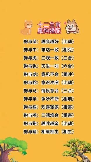 生肖狗最佳属相婚配表（生肖狗最佳婚配表查询）