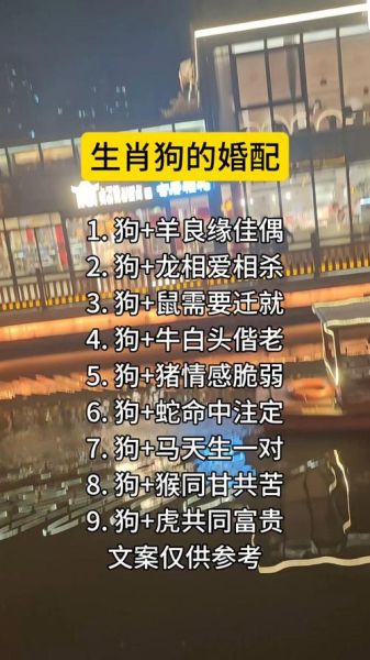 生肖狗最佳属相婚配表（生肖狗最佳婚配表查询）