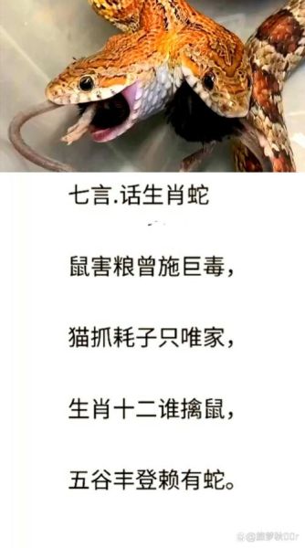 白居易的生肖属相是什么（白居易的生肖是什么）