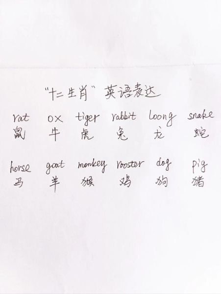 英语一家人生肖属相表示（家人十二生肖英文说法小白速查表）