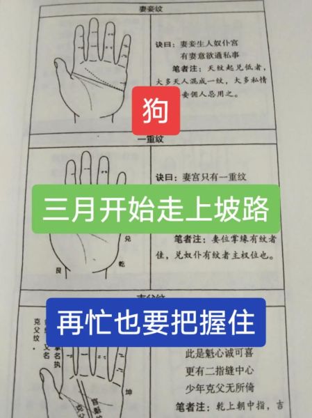 生肖狗属相教程（生肖狗属相入门教程全攻略）