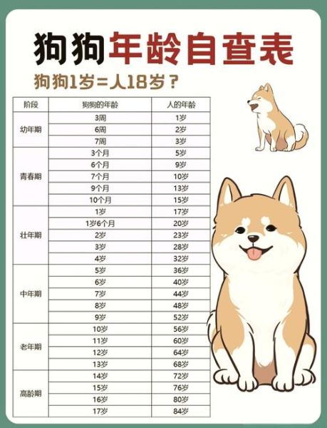 生肖1982年属相（1982年属狗的今年几岁？）