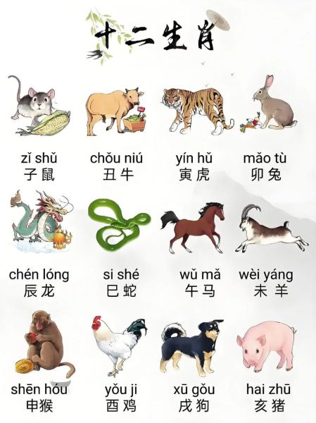 匈牙利的属相是什么生肖（匈牙利人属什么生肖？新手版速查🐭🐮🐯）