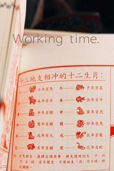 生肖时间属相（生肖时间属相怎么算最准）