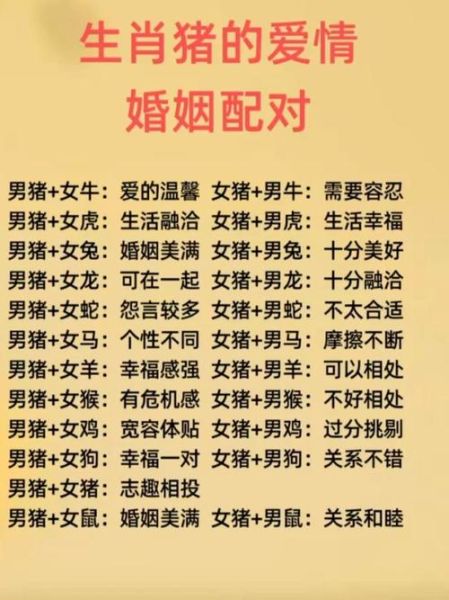 生肖猪最佳配属相（属猪的和什么属相最配）