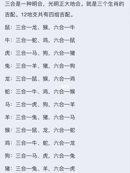 2016什么生肖属相（2016年属啥生肖？新人秒懂版）