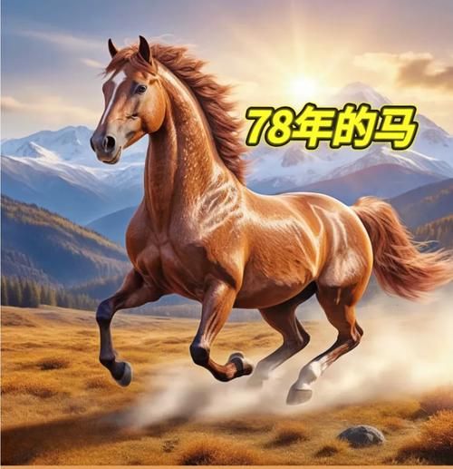 生肖马属相好吗（属马的人运势怎么样好不好）