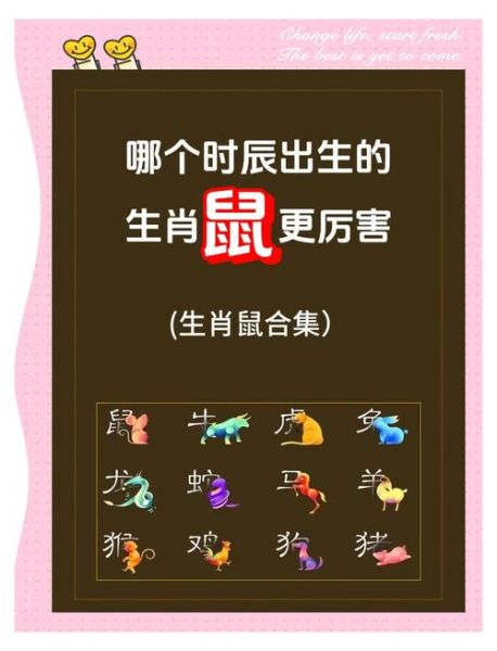 生肖生肖鼠的贵人属相（生肖鼠最旺的3大贵人属相）