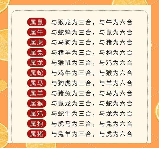 牛猪属相几合生肖（属牛和属猪的几合生肖配对指南）