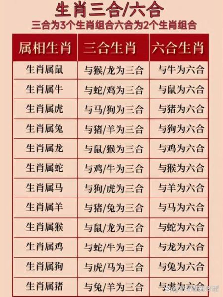生肖属相什么合财（生肖龙和鼠合财吗）