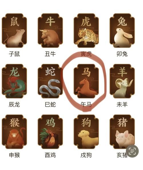 马龙什么生肖属相啊（马龙属相是什么）