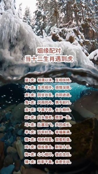 生肖虎什么属相般配最好（生肖虎跟哪个属相最合？）