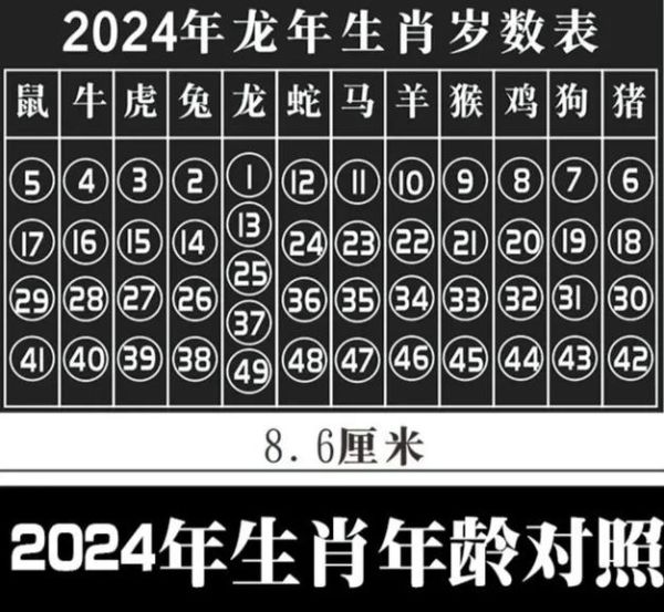 生肖属相统计图制作（十二生肖比例图Excel新手教程）