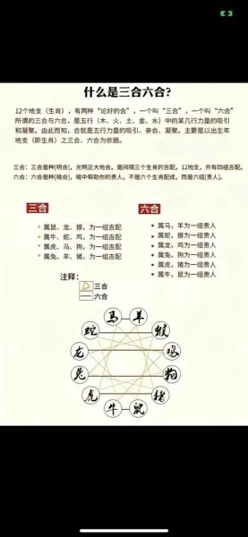 生肖属相猴和羊（生肖猴和羊的合不合？新手速懂指南）
