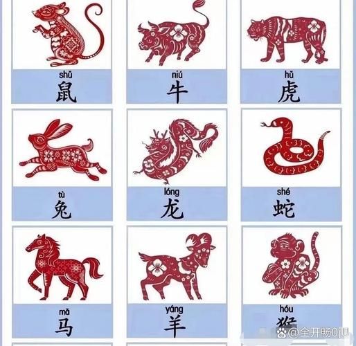 云南生肖属相（云南人用什么生肖属相？）