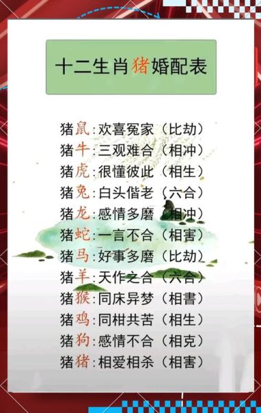 生肖配什么属相最好