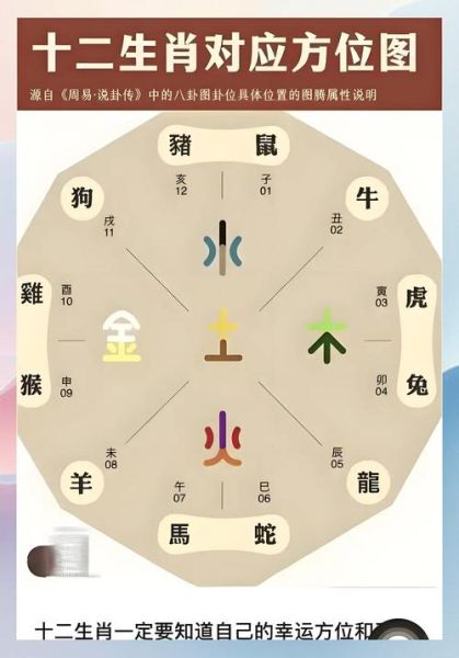 风水上哪里看生肖属相（生肖属相在风水书中看哪里）