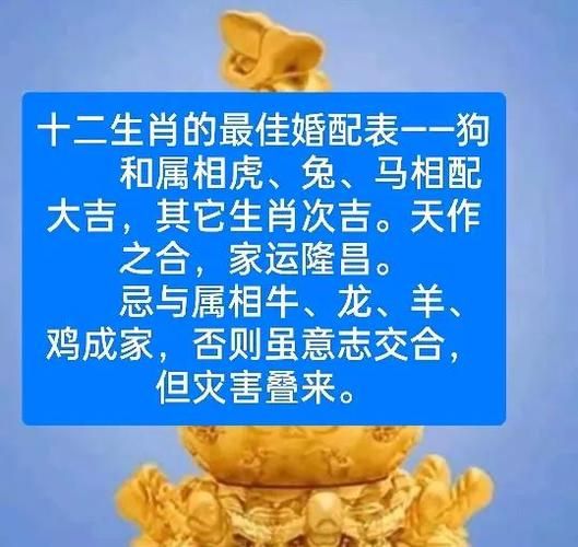 生肖女狗的配对属相（属狗的女生婚配最佳属相有哪些）