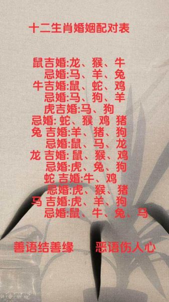 生肖属相家庭配对（生肖属相家庭配对最忌哪些组合）