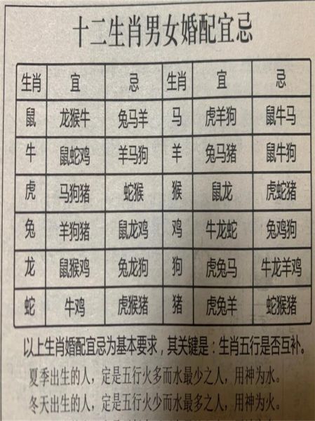 生肖属相家庭配对（生肖属相家庭配对最忌哪些组合）