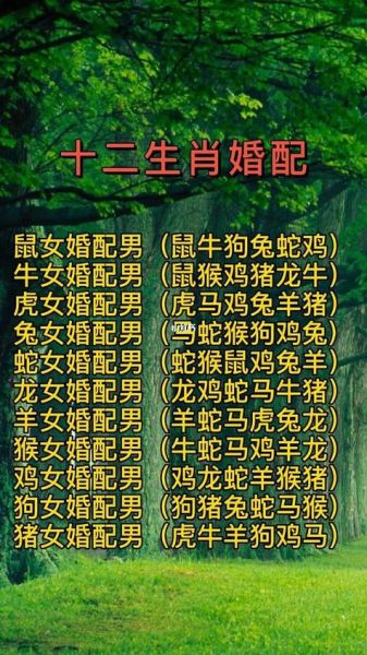 生肖羊和哪些属相相配（属羊的最佳婚配生肖排行）