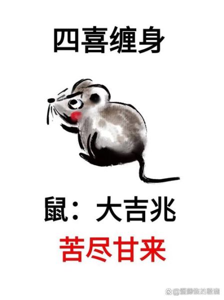 董路属什么生肖属相（董路生肖属相揭秘🐭）