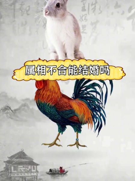 鸡的最佳生肖配偶属相（鸡的最佳婚配属相详解）