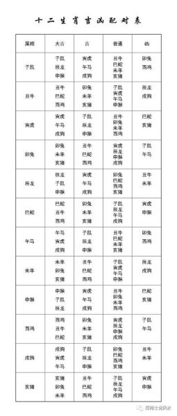 长孙属相生肖（长孙属相生肖查询速通教程）