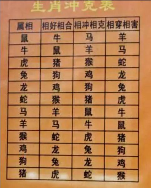 长孙属相生肖（长孙属相生肖查询速通教程）