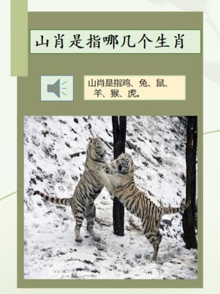 虎年生肖属相顺序表（虎年生肖属相顺序表及出生年份一览）