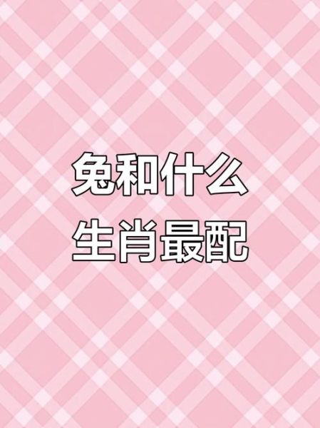 生肖兔和马的属相（生肖兔和马的属相合不合）