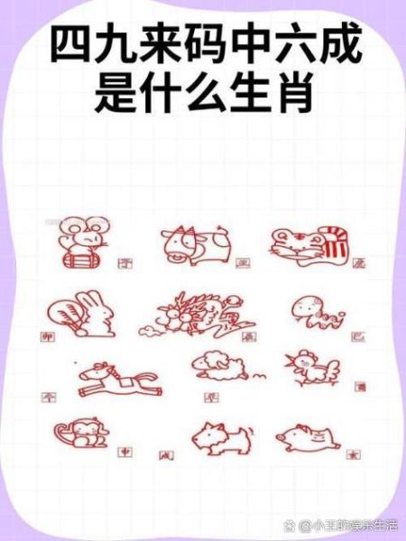 生肖属相数字（生肖属相数字对照表查询）