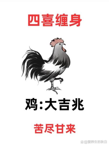 生肖鸡本命年忌什么属相（生肖鸡本命年忌属兔、属狗、属鸡❗）
