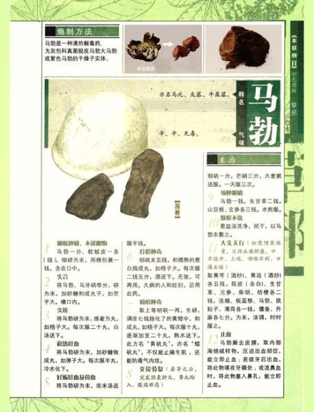 马勃属相是什么生肖（马勃属相是什么生肖？小白也能看懂！）