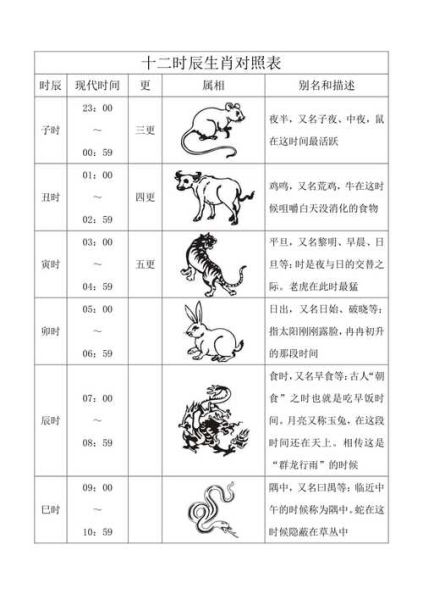 生肖十二时辰属相（生肖十二时辰属相查询表）
