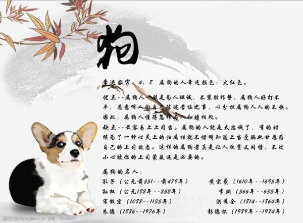 生肖狗属相命运（生肖狗一生运势详解图）