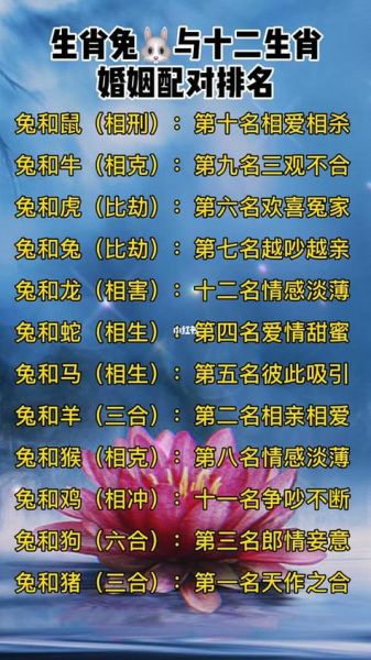 生肖老婆属相分值（生肖老婆属相配对打分靠谱吗？）