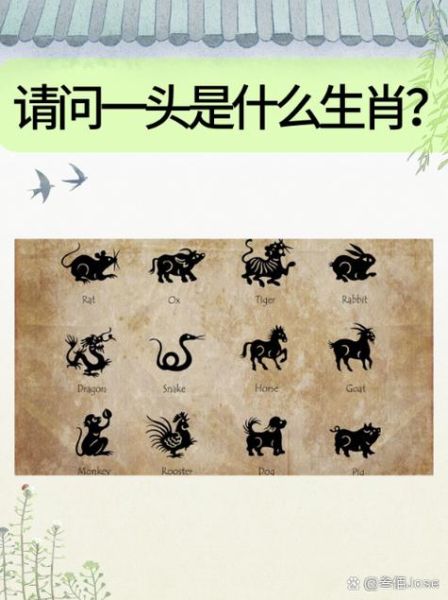 少妇指哪些生肖或者属相（少妇指哪些生肖属相）