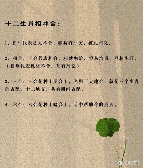 生肖要怎么判断属相（生肖属相到底按哪一天算？）