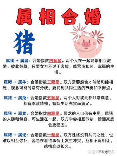 生肖猪的敌人属相（属猪的克星是什么？一次看懂）
